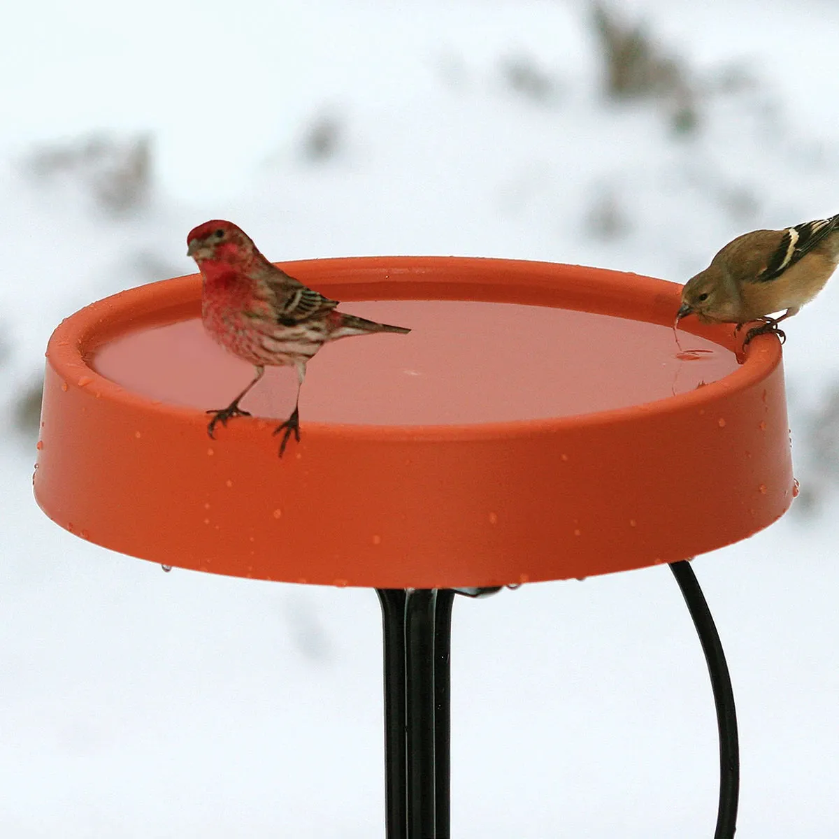 All Season Heated Bath